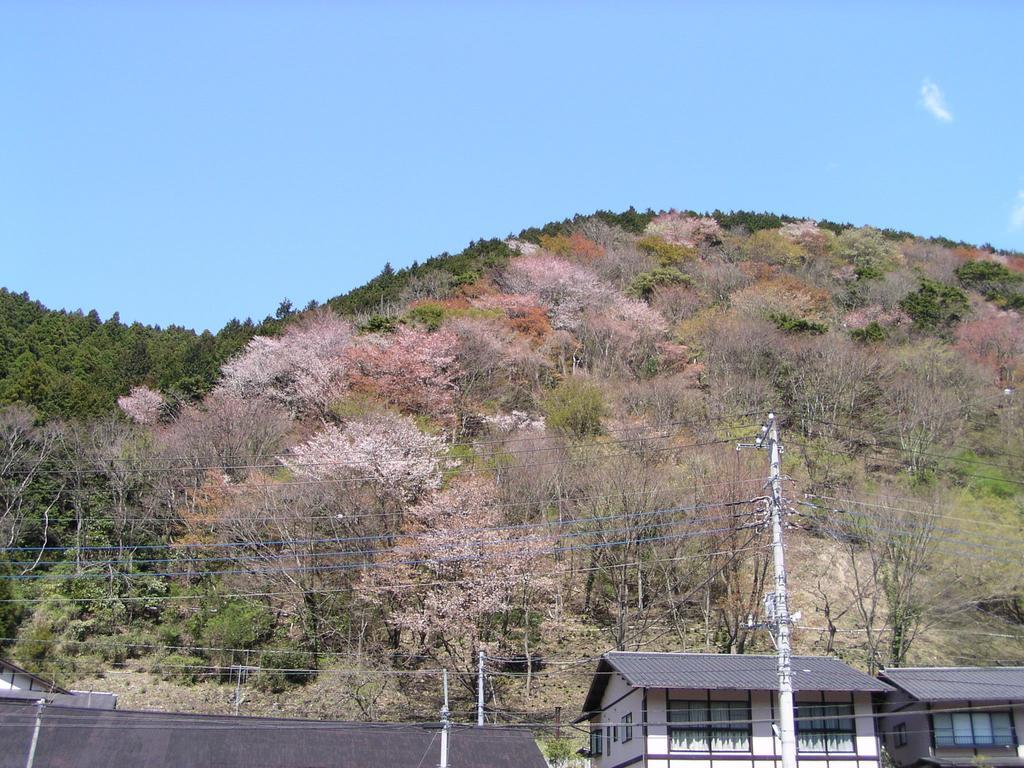 Irorino Yado Sankichi Hotel Izu  Exterior photo